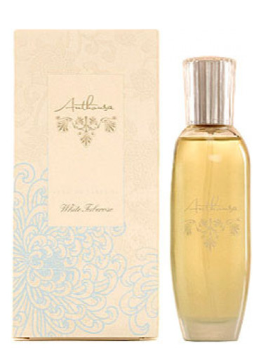 عطر ادکلن وایت تیوبروز آنتوسا - White Tuberose Anthousa - بررسی، قیمت و خرید