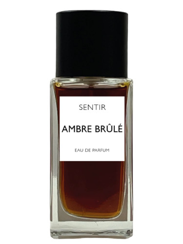 عطر ادکلن آمبره بروئله سنتیر - Ambre Brûlé Sentir - بررسی، قیمت و خرید