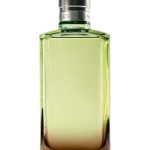 عطر ادکلن میستیک ماس دِریز وَن نوتِن - Mystic Moss Dries Van Noten - بررسی، قیمت و خرید