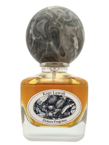 عطر ادکلن کوپی لواک پیکتورا فراگرنس - Kopi Luwak Pictura Fragrans - بررسی، قیمت و خرید