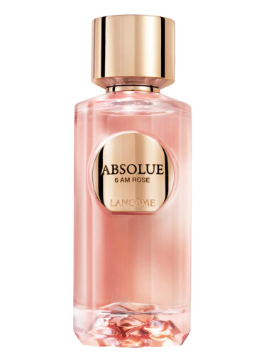 عطر ادکلن ابسولوت ۶ ای‌ام رز لانکوم - Absolue 6AM Rose Lancôme - بررسی، قیمت و خرید