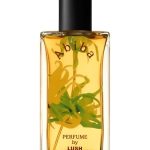 عطر ادکلن آبیبا لاش - Abiba Lush - بررسی، قیمت و خرید