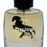 عطر ادکلن استالیون راساسی - Stallion Rasasi - بررسی، قیمت و خرید