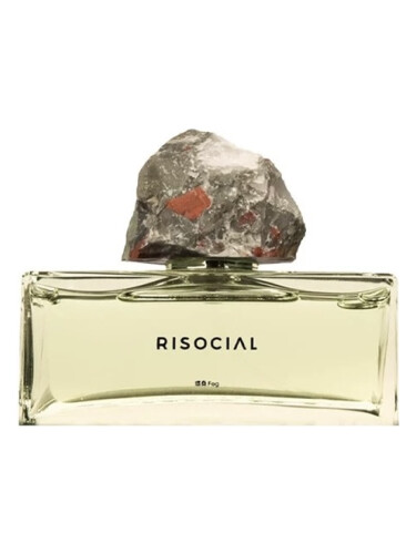 عطر ادکلن فوگ ریسوشال زاینان ژا - Fog 炜桑 Risocial 在野南杂 - بررسی، قیمت و خرید