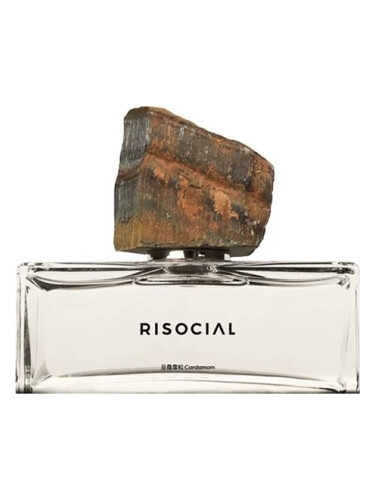عطر ادکلن کردوموم ریسوشال زاینن زاز - Cardamom 豆蔻雪松 Risocial 在野南杂 - بررسی، قیمت و خرید