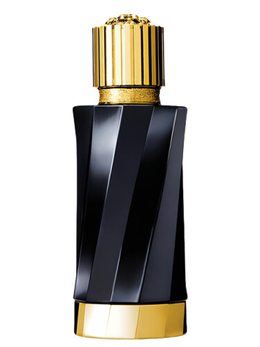 عطر ادکلن رز فلامبویانت ورساچه - Rose Flamboyante Versace - بررسی، قیمت و خرید