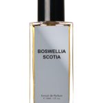 عطر ادکلن بوسولیا اسکوتیا جروم استودیو - Boswellia Scotia Jorum Studio - بررسی، قیمت و خرید