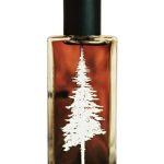عطر ادکلن شایر پاین‌وارد پرفیومز - Shire Pineward Perfumes - بررسی، قیمت و خرید