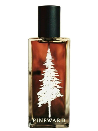 عطر ادکلن شایر پاین‌وارد پرفیومز - Shire Pineward Perfumes - بررسی، قیمت و خرید