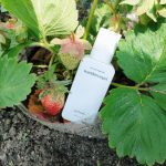 عطر ادکلن واندرفوگل بیست و هفت هشتاد و هفت - Wandervogel 27 87 - بررسی، قیمت و خرید