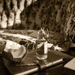 عطر ادکلن تریبل تدی پنالیگونز - Terrible Teddy Penhaligon's - بررسی، قیمت و خرید