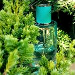 عطر ادکلن تیفانی اند لاو فور هر تیفانی - Tiffany & Love For Her Tiffany - بررسی، قیمت و خرید