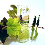 عطر ادکلن اُ دو لانکوم لَنگکوم - Ô de Lancôme Lancôme - بررسی، قیمت و خرید