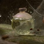 عطر ادکلن نوا فلور کاشرل - Noa Fleur Cacharel - بررسی، قیمت و خرید