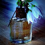 عطر ادکلن دامین مری کی - Domain Mary Kay - بررسی، قیمت و خرید