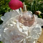 عطر ادکلن پیونه فیری ژان آن پرووانس - Pivoine Feerie Jeanne en Provence - بررسی، قیمت و خرید