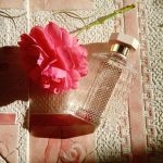 عطر ادکلن استلا او د توالت استلا مک‌کارتنی - Stella Eau de Toilette Stella McCartney - بررسی، قیمت و خرید