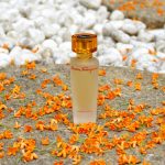 عطر ادکلن توسکان سول سالواتوره فراگامو - Tuscan Soul Salvatore Ferragamo - بررسی، قیمت و خرید