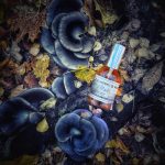 عطر ادکلن ماس تو زیلینسکی و روزن - MOSS 2 Zielinski & Rozen - بررسی، قیمت و خرید