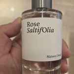 عطر ادکلن رُز سالتیفولیا میزون کریولی - Rose SaltifOlia Maison Crivelli - بررسی، قیمت و خرید