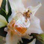 عطر ادکلن مای دریم هومَژ اَ مارلِن دیتریش گره - My Dream Hommage a Marlene Dietrich Grès - بررسی، قیمت و خرید