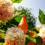 عطر ادکلن انرجایزینگ فرگرنس شیسیدو - Energizing Fragrance Shiseido - بررسی، قیمت و خرید
