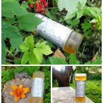 عطر ادکلن بلاجیو مایکل آنجلو - Bellagio Micaelangelo - بررسی، قیمت و خرید