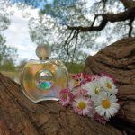 عطر ادکلن فوراور الیزابت الیزابت تیلور - Forever Elizabeth Elizabeth Taylor - بررسی، قیمت و خرید