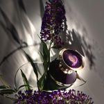 عطر ادکلن اشلیمه بولگاری - Ashlemah Bvlgari - بررسی، قیمت و خرید