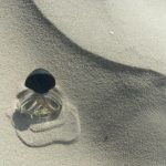 عطر ادکلن لایکس دزینتارس - Laiks Dzintars - بررسی، قیمت و خرید