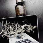 عطر ادکلن لوبلیو مئو فوشیونی - L'Oblìo Meo Fusciuni - بررسی، قیمت و خرید