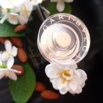 عطر ادکلن ژاسمین نویر او دو تویلت بولگاری - Jasmin Noir Eau de Toilette Bvlgari - بررسی، قیمت و خرید