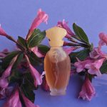 عطر ادکلن سیرن ویکی تیل - Sirene Vicky Tiel - بررسی، قیمت و خرید