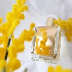 عطر ادکلن می‌موزا این د اِ ایر ورونیک گبای - Mimosa In The Air Veronique Gabai - بررسی، قیمت و خرید