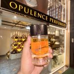 عطر ادکلن ایندین سندلوود آلفرد دانهیل - Indian Sandalwood Alfred Dunhill - بررسی، قیمت و خرید