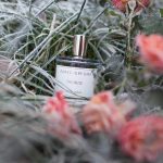 عطر ادکلن ذی میوز زارکوپرفیوم - The Muse ZARKOPERFUME - بررسی، قیمت و خرید
