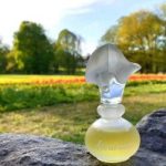 عطر ادکلن فلورانس جووِنا - Fleurance Juvena - بررسی، قیمت و خرید