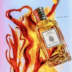 عطر ادکلن آمبره اترو - Ambra Etro - بررسی، قیمت و خرید