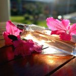 عطر ادکلن هوت کوتور ژیوانشی - Hot Couture Givenchy - بررسی، قیمت و خرید