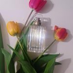 عطر ادکلن کرات کارتیر - Carat Cartier - بررسی، قیمت و خرید