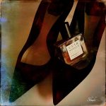 عطر ادکلن کویر سویو فرانچسکا بیانکی - Cuir Soyeux Francesca Bianchi - بررسی، قیمت و خرید