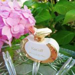 عطر ادکلن تیک می تو د مون کرلوف پاریس - Take Me To The Moon Korloff Paris - بررسی، قیمت و خرید