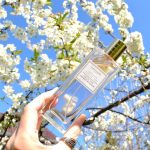 عطر ادکلن دلیکیت چری بلاسوم اوریف‌لیم - Delicate Cherry Blossom Oriflame - بررسی، قیمت و خرید