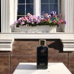 عطر ادکلن آیریش فر الامبرا - Irish Ferre Al Ambra - بررسی، قیمت و خرید