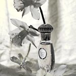 عطر ادکلن نارسیس بلانک کارُن - Narcisse Blanc Caron - بررسی، قیمت و خرید