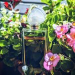 عطر ادکلن هانه موری هانا موری - Hanae Mori Hanae Mori - بررسی، قیمت و خرید
