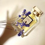 عطر ادکلن آمبر ساواج ابسولو ۲۰۲۰ گوتال - Ambre Sauvage Absolu 2020 Goutal - بررسی، قیمت و خرید