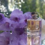 عطر ادکلن ورساچه پوره فم ورساچه - Versace Pour Femme Versace - بررسی، قیمت و خرید