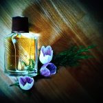 عطر ادکلن دامین مری کی - Domain Mary Kay - بررسی، قیمت و خرید