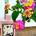 عطر ادکلن گوچی بلوم نته دی فیوری گوچی - Gucci Bloom Nettare Di Fiori Gucci - بررسی، قیمت و خرید